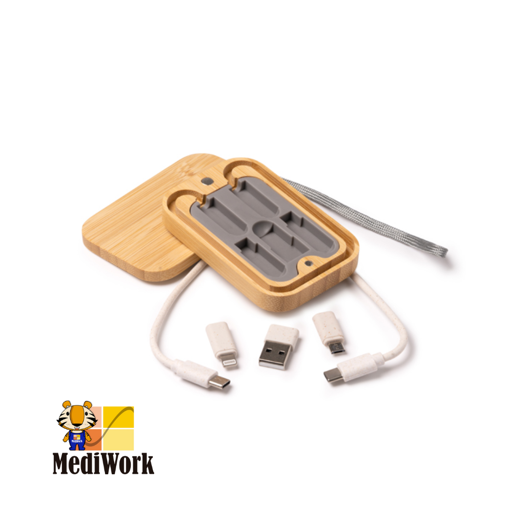 Set de cables cargadores 1293 03